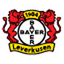 Bayer Leverkusen flag