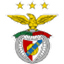 Benfica flag
