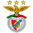 Benfica flag