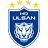 Ulsan HD flag